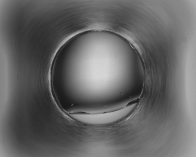 X0000094191343200711091154