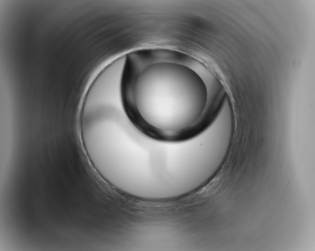 X0000094191344200711091154