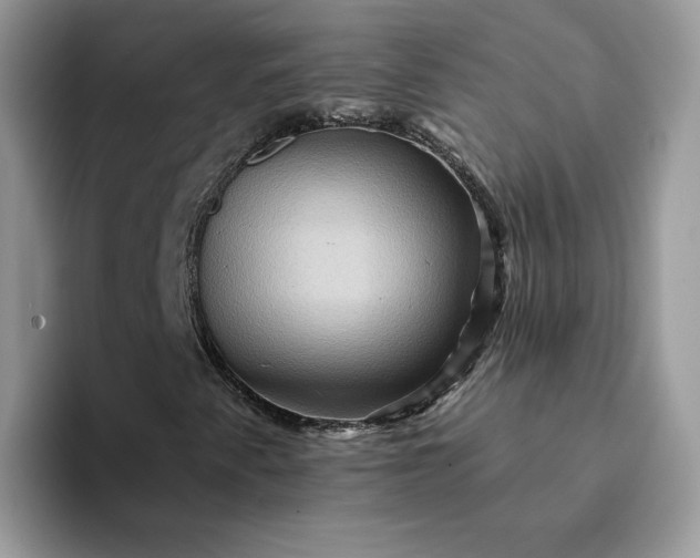 X0000094191345200711091153