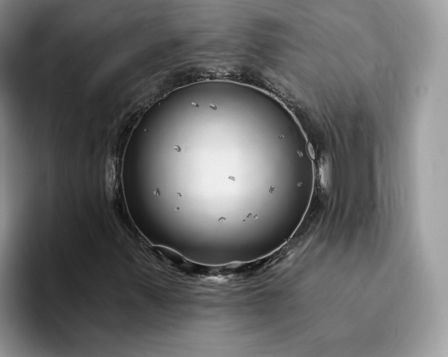 X0000094191347200711091153