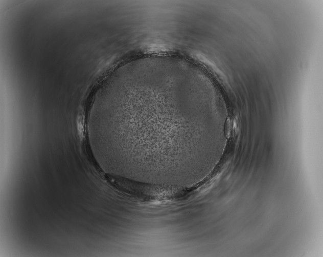 X0000094191348200711091153