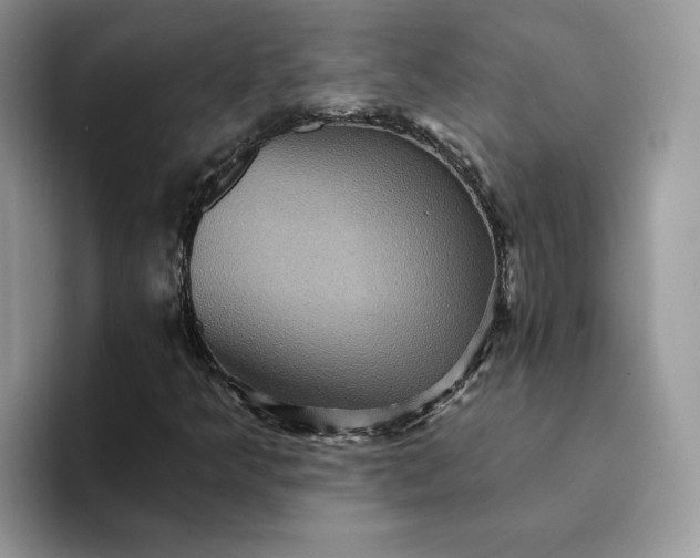 X0000094191349200711091153