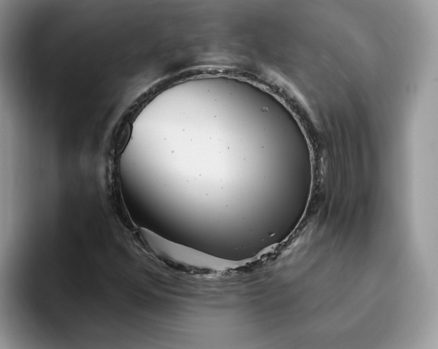 X0000094191352200711091153