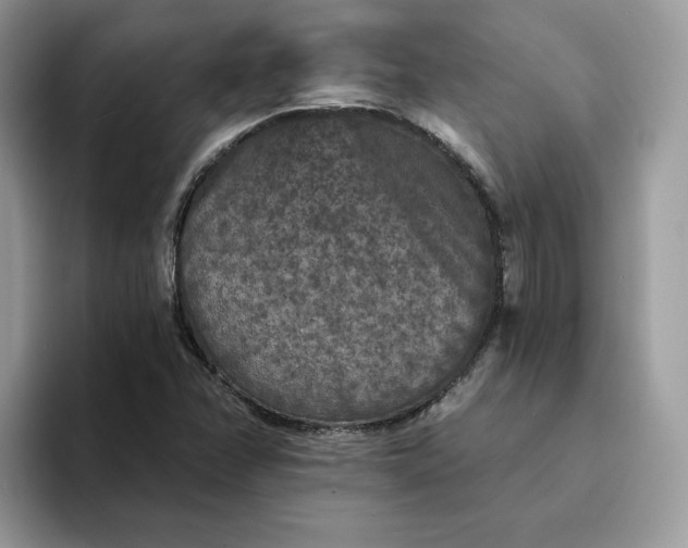 X0000094191358200711091153