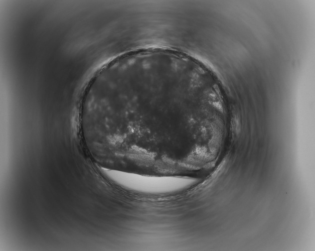 X0000094191359200711091153