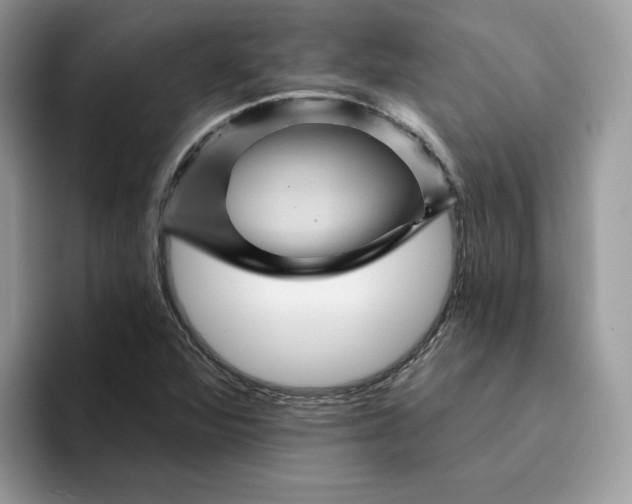 X0000094191360200711091153