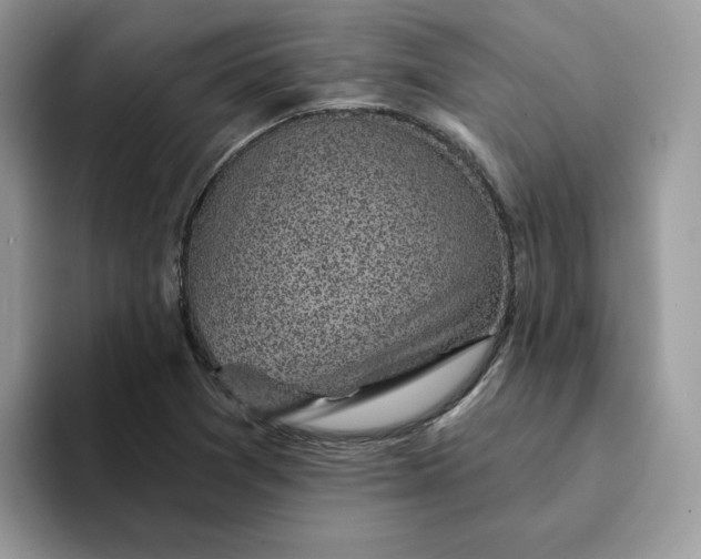 X0000094191361200711091153