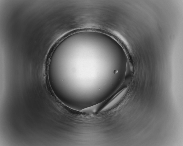 X0000094191364200711091153