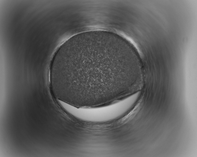 X0000094191365200711091153