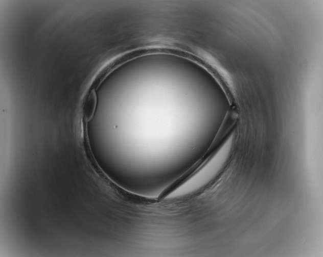 X0000094191368200711091153