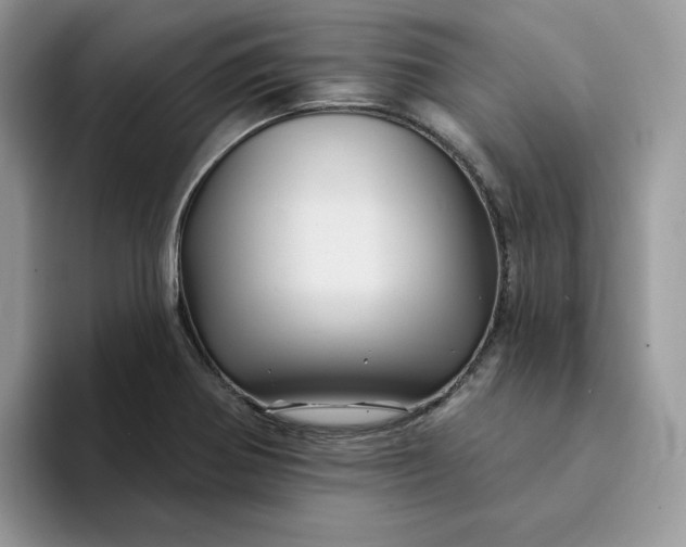 X0000094191370200711091153