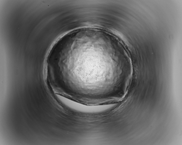 X0000094191371200711091153