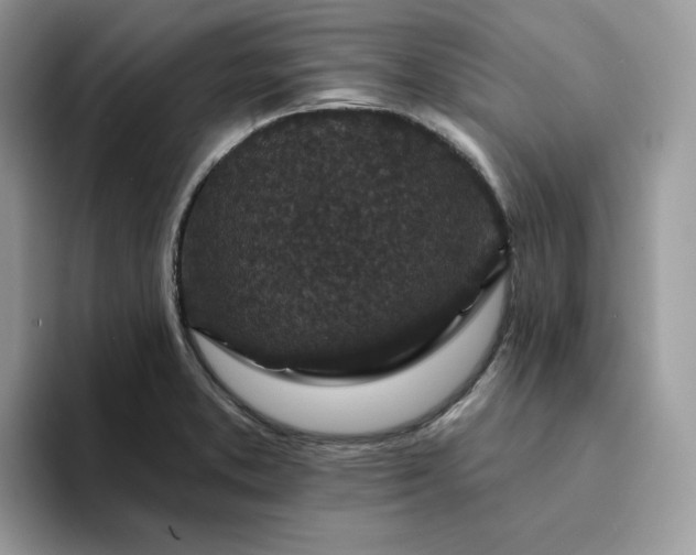 X0000094191373200711091153