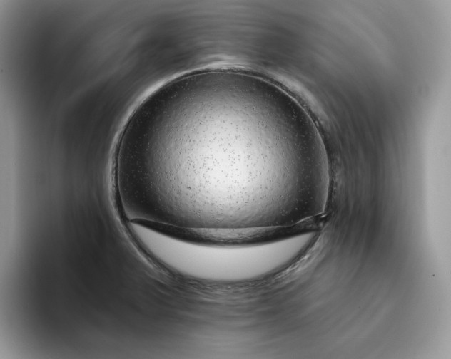 X0000094191375200711091153