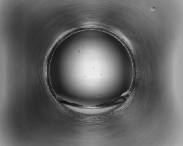 X0000094191376200711091153