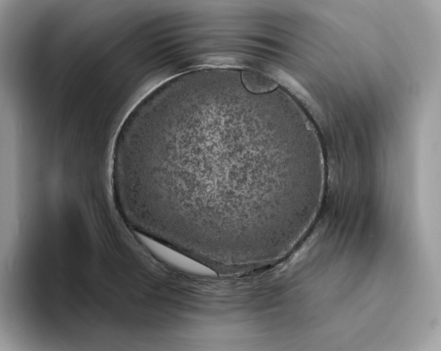 X0000094191378200711091153