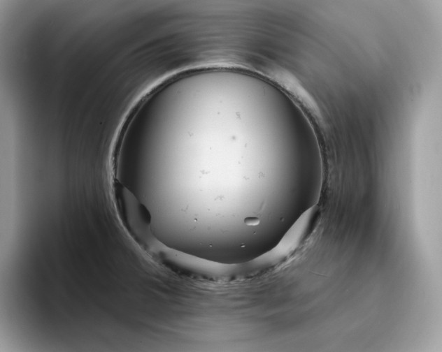 X0000094191380200711091153