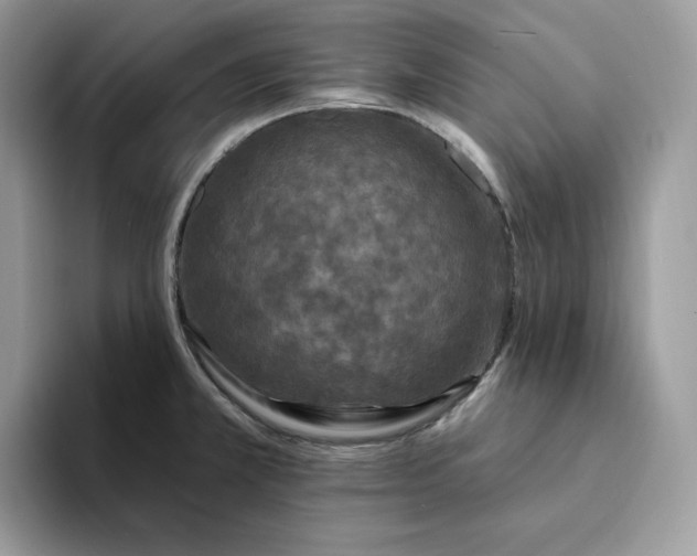 X0000094191381200711091153