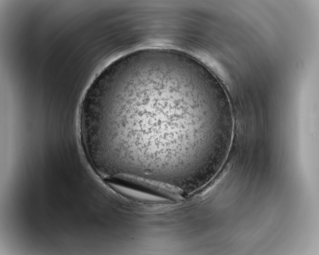 X0000094191382200711091153