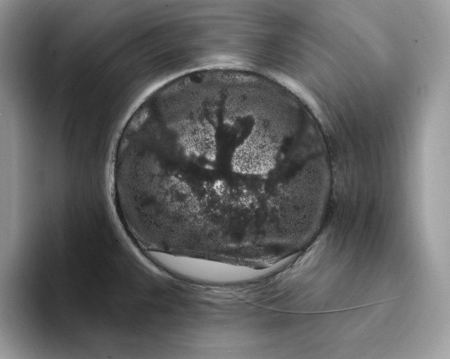 X0000094191383200711091153