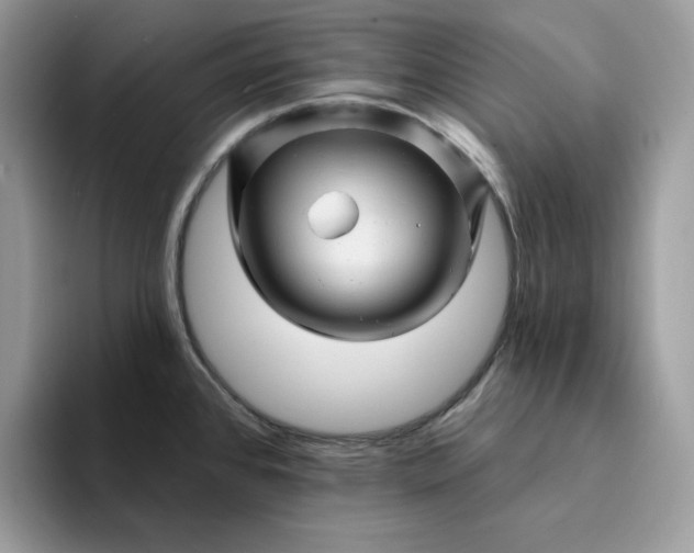 X0000094191384200711091153