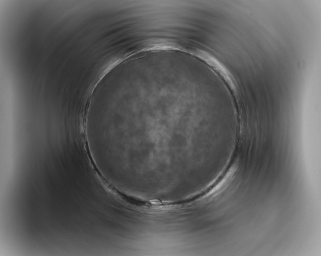 X0000094191385200711091153