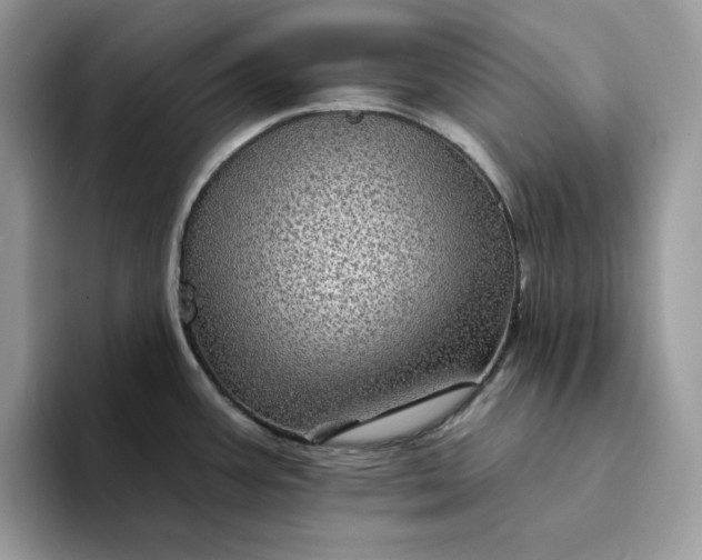 X0000094191387200711091153