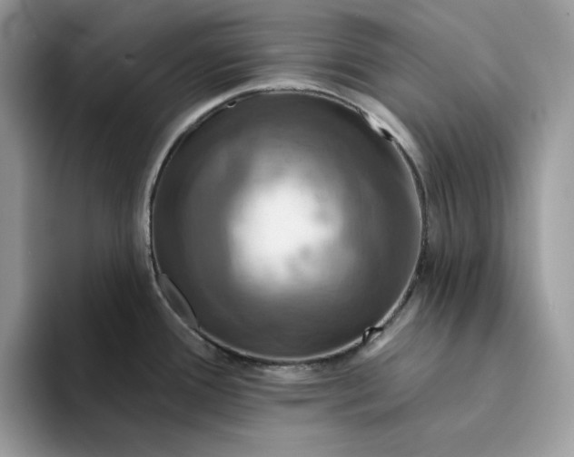 X0000094191388200711091153