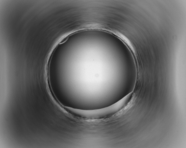 X0000094191389200711091153