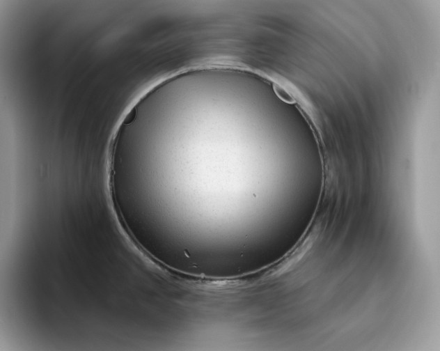 X0000094191390200711091153