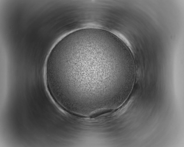 X0000094191391200711091153