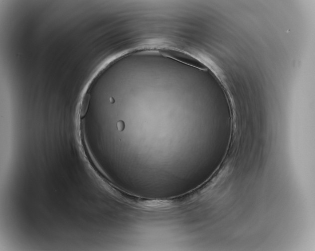 X0000094191392200711091153