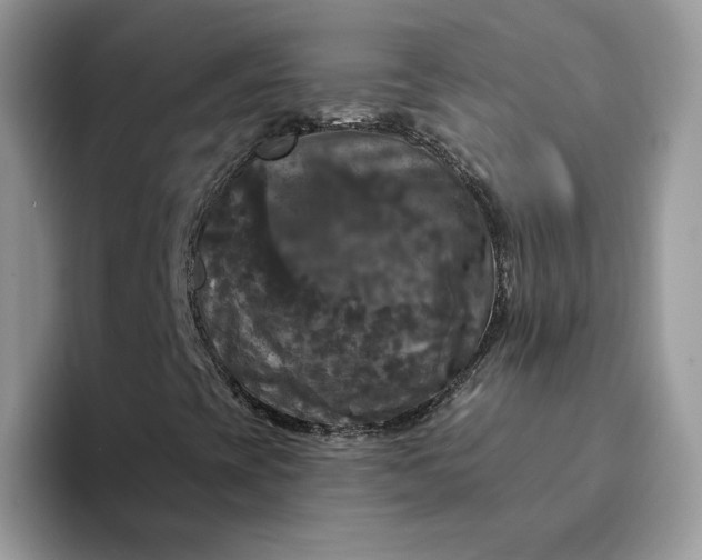 X0000094191393200711091152