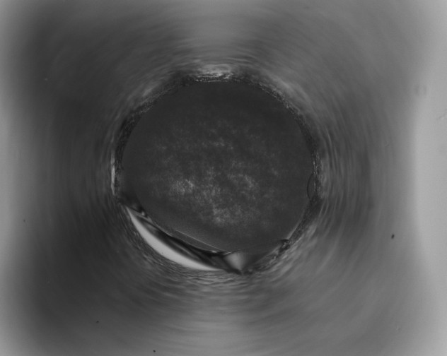 X0000094191394200711091152