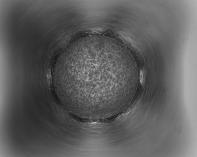 X0000094191395200711091152