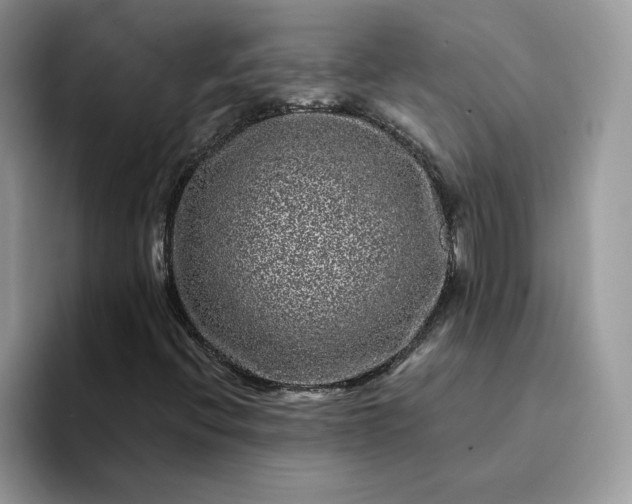 X0000094191396200711091152