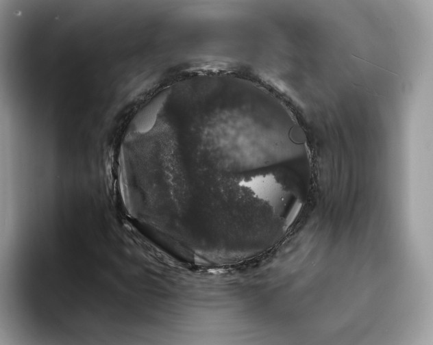 X0000094191399200711091152