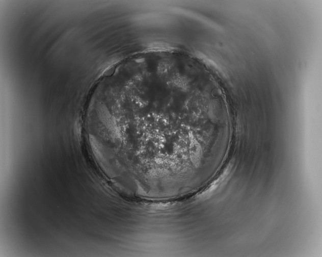 X0000094191401200711091152