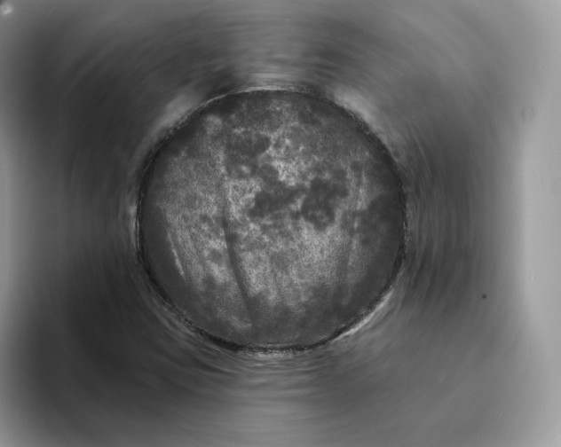 X0000094191403200711091152