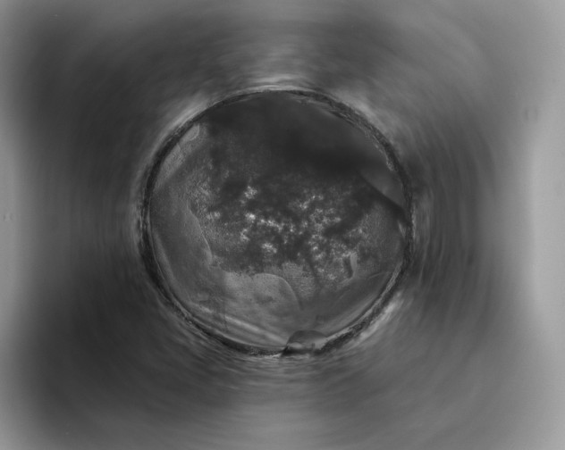 X0000094191405200711091152