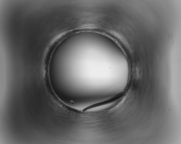 X0000094191406200711091152