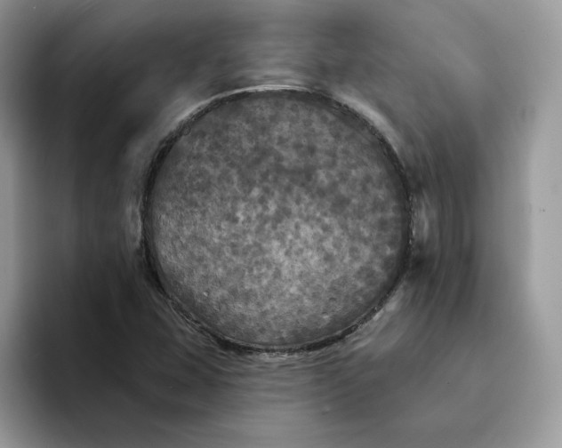 X0000094191407200711091152