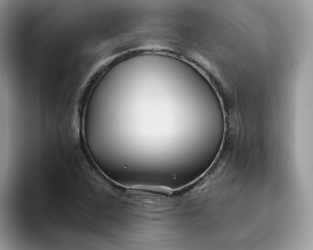 X0000094191408200711091152