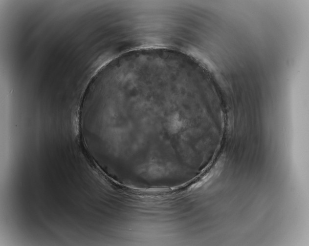 X0000094191409200711091152