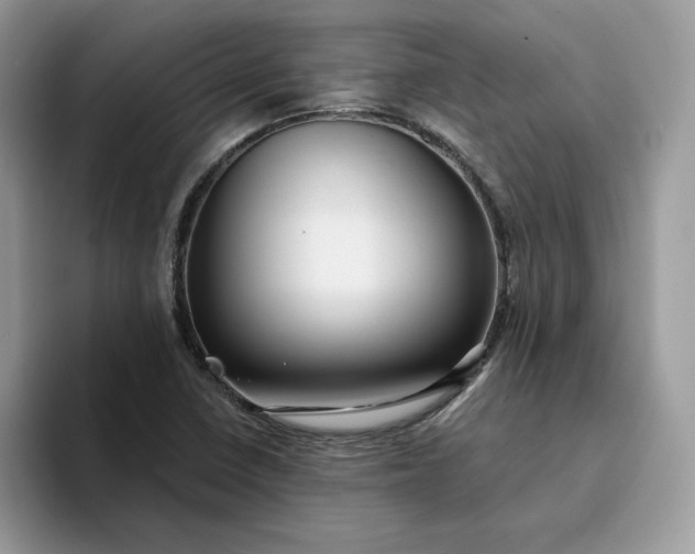 X0000094191410200711091152