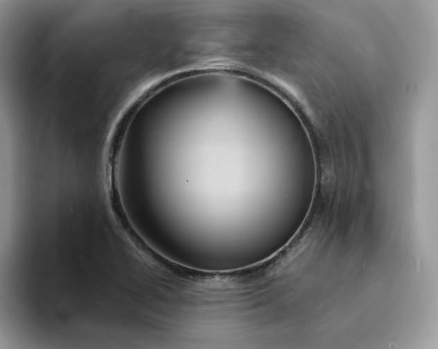 X0000094191414200711091152