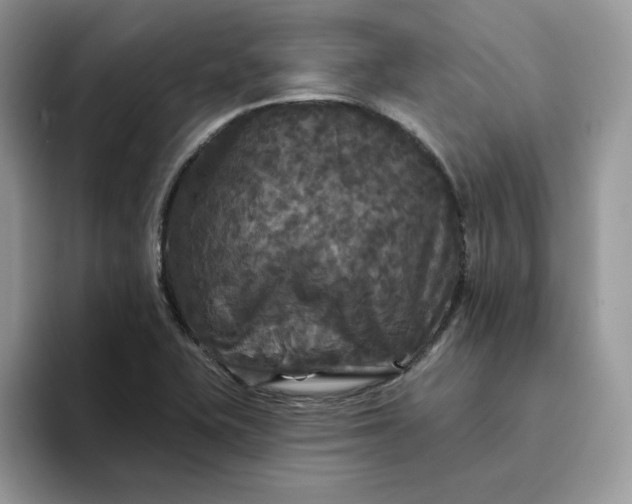 X0000094191415200711091152