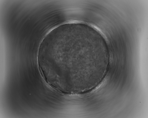 X0000094191417200711091152