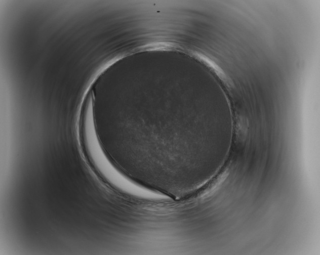 X0000094191418200711091152