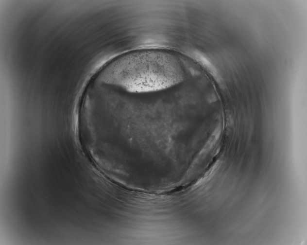 X0000094191419200711091152